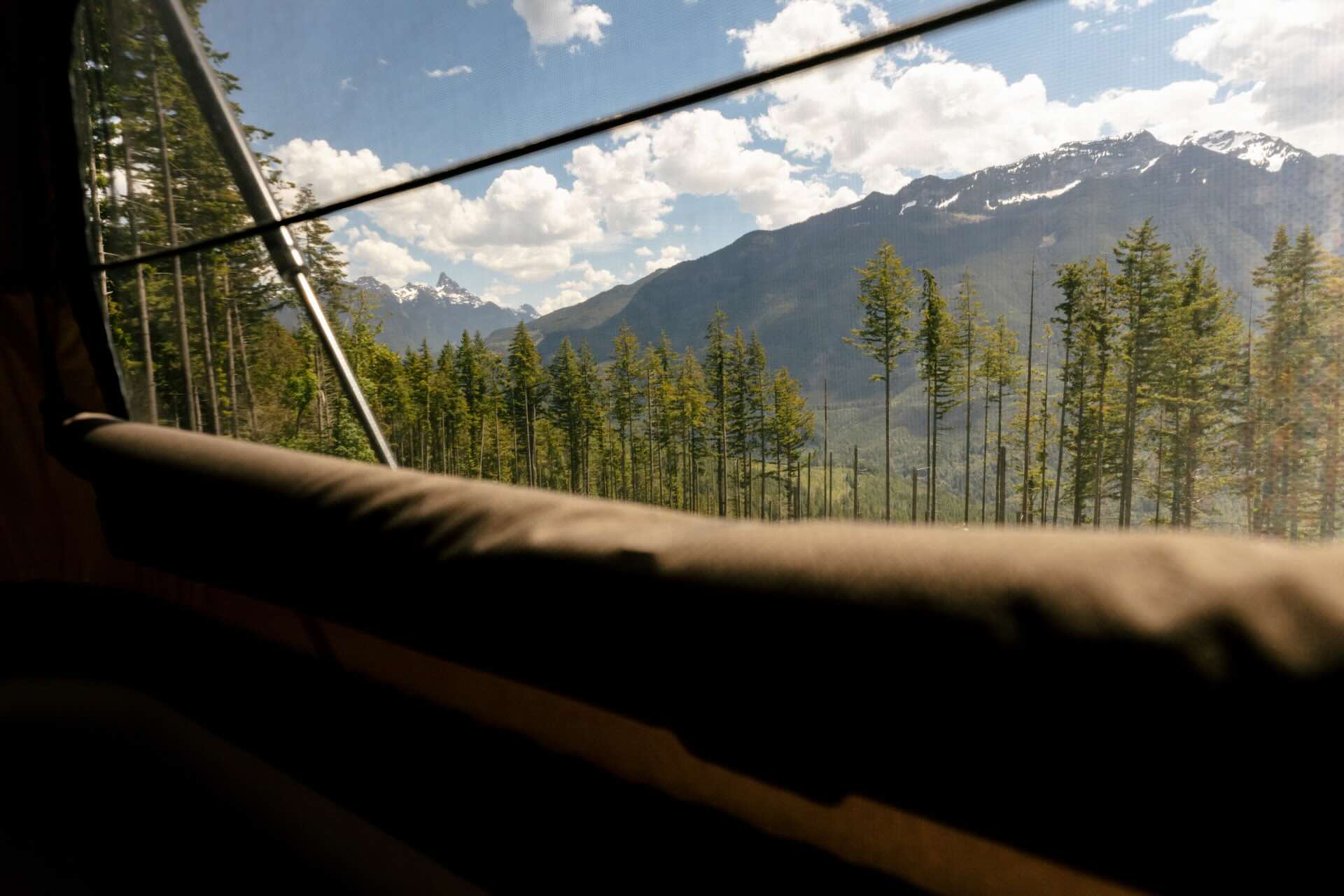 Scout Yoho Pop-Up - In Showroom