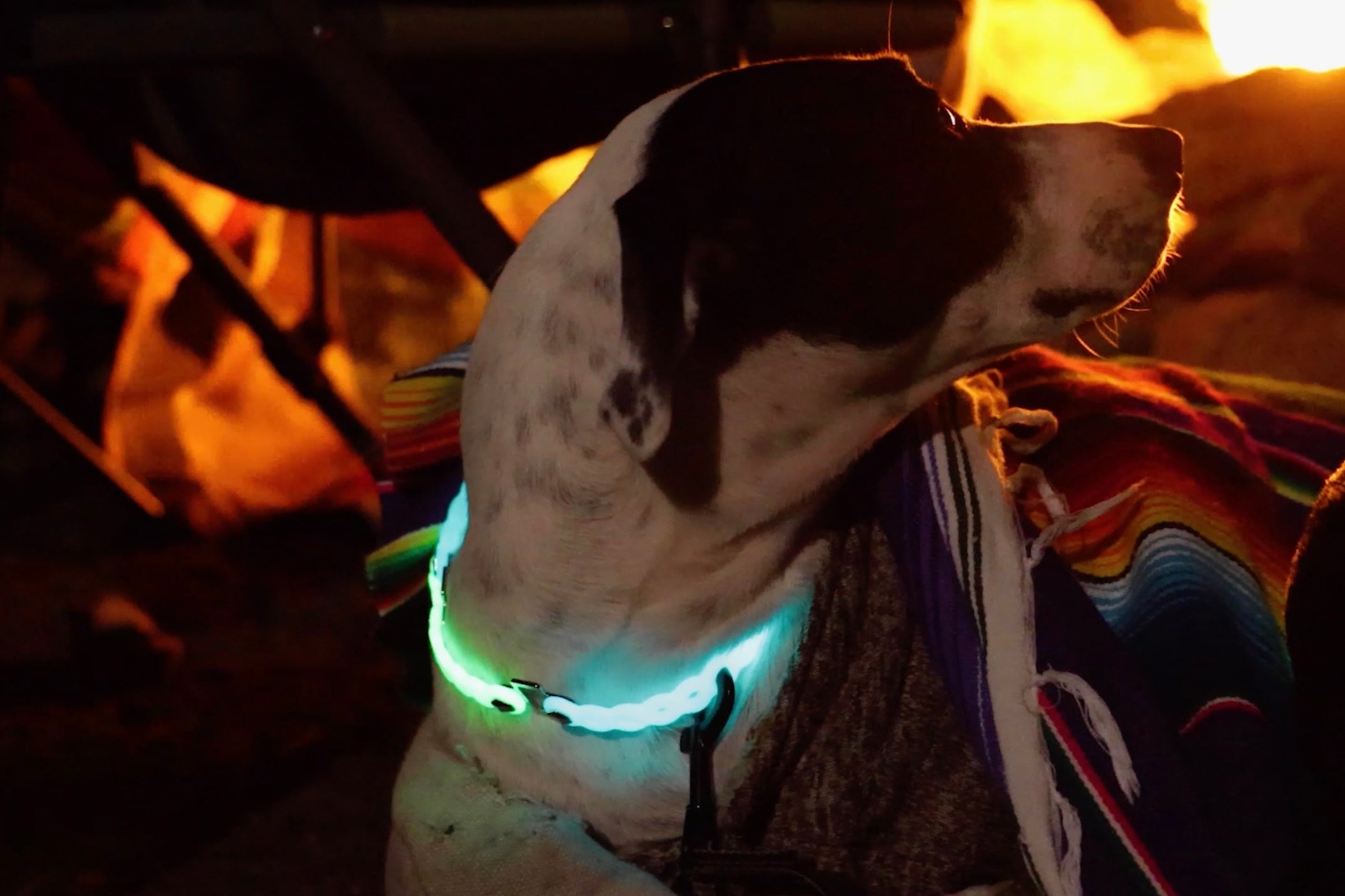 Infinity Tool™ Modular Straps 2.0