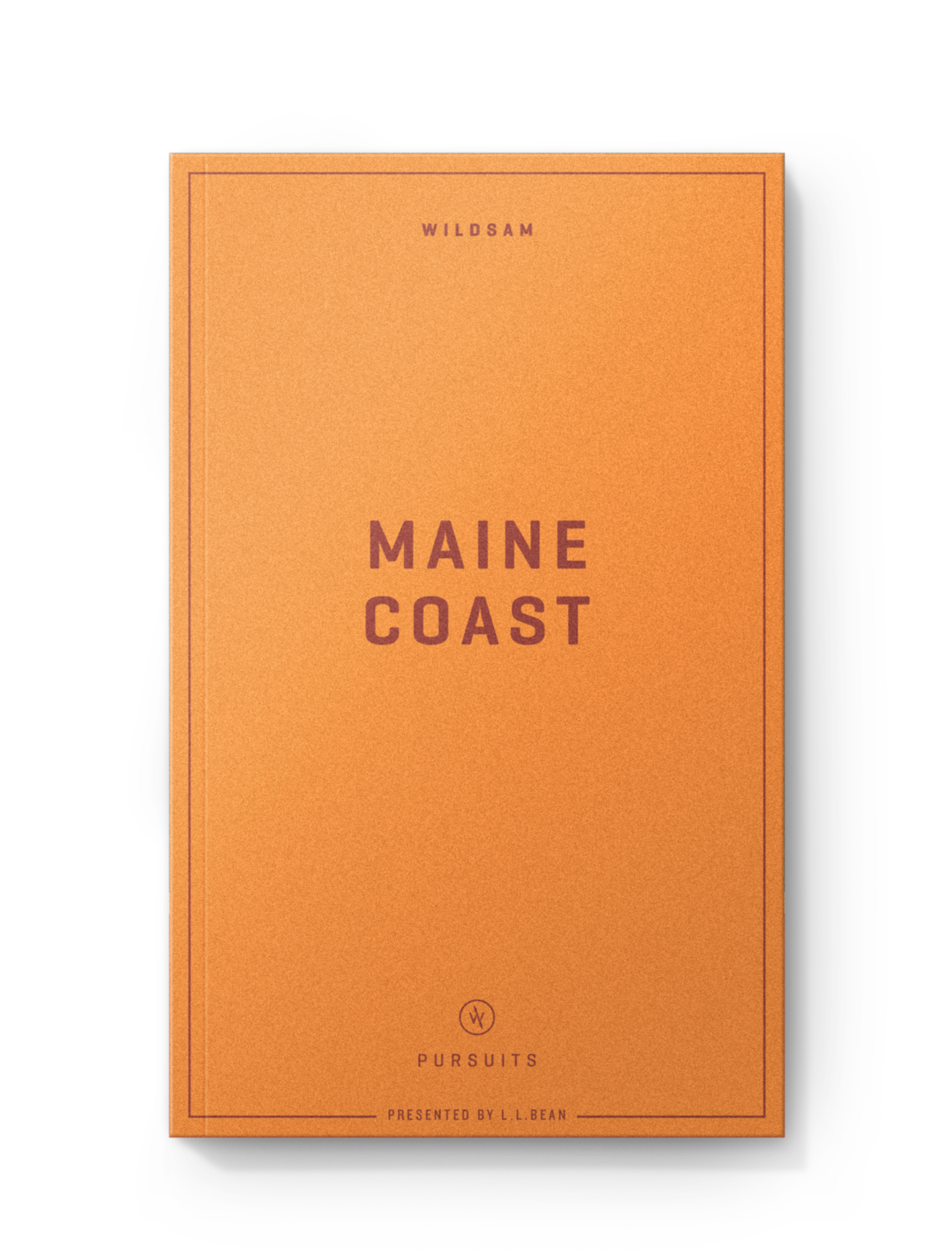 MAINE COAST