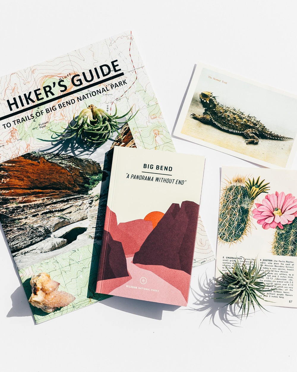 BIG BEND NATIONAL PARK