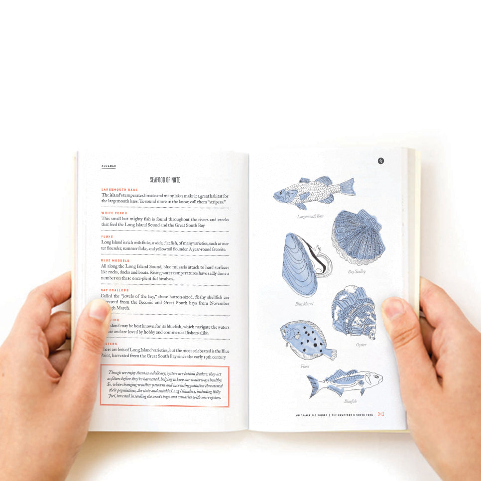 HAMPTONS & NORTH FORK